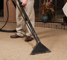 Steam Cleaner Rental Brantford
